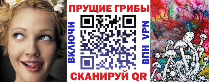 Псилоцибиновые грибы MAGIC MUSHROOMS  дарнет шоп  Зубцов 